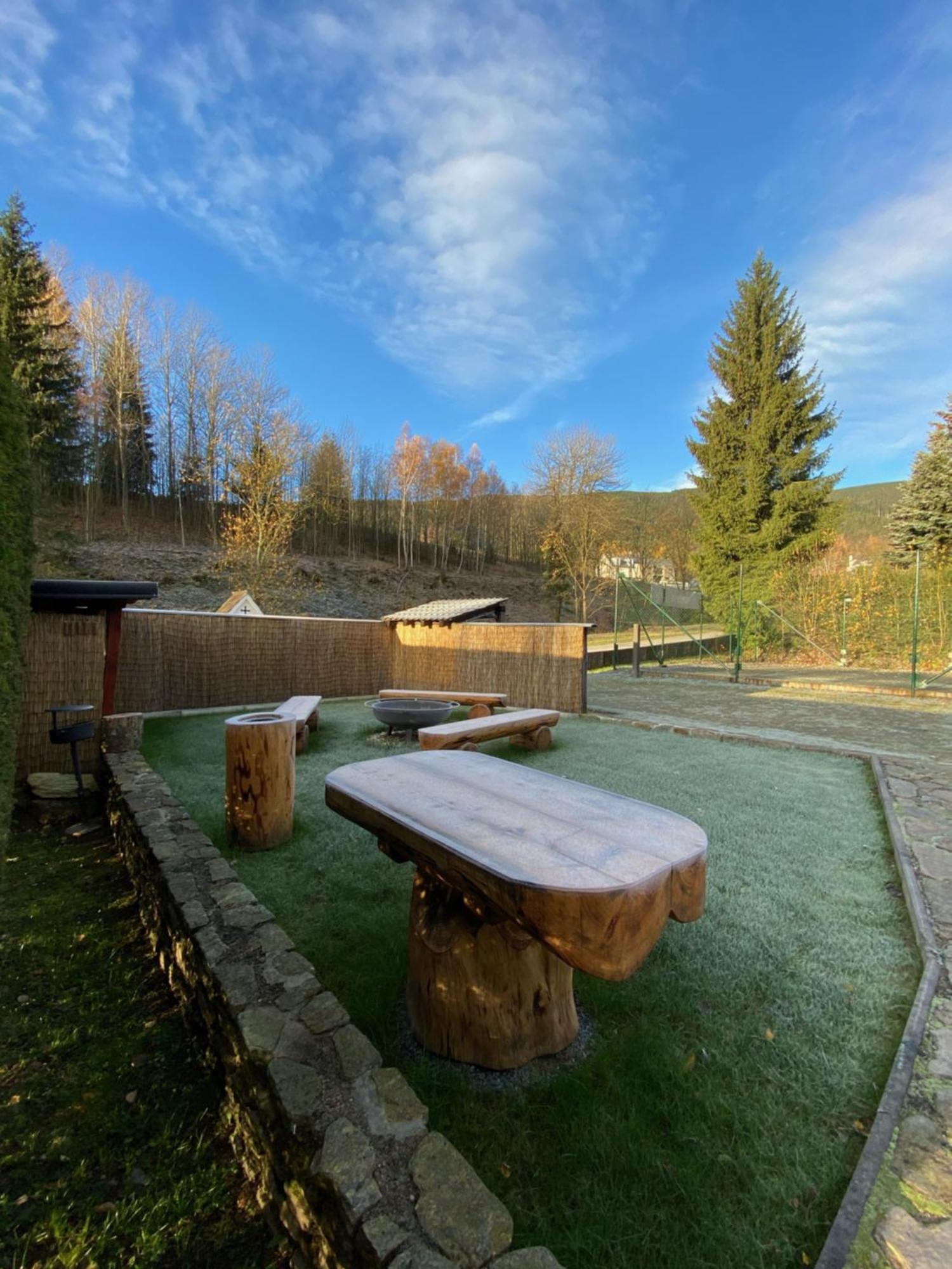 Horsky Hotel Snezenka Hyncice pod Susinou Exterior foto