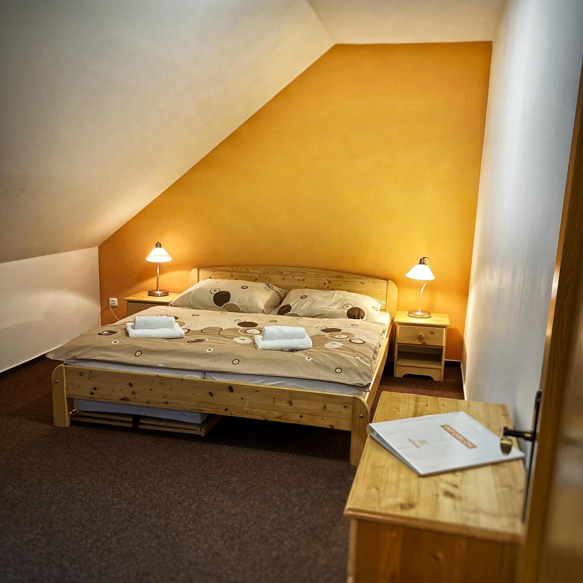 Horsky Hotel Snezenka Hyncice pod Susinou Exterior foto