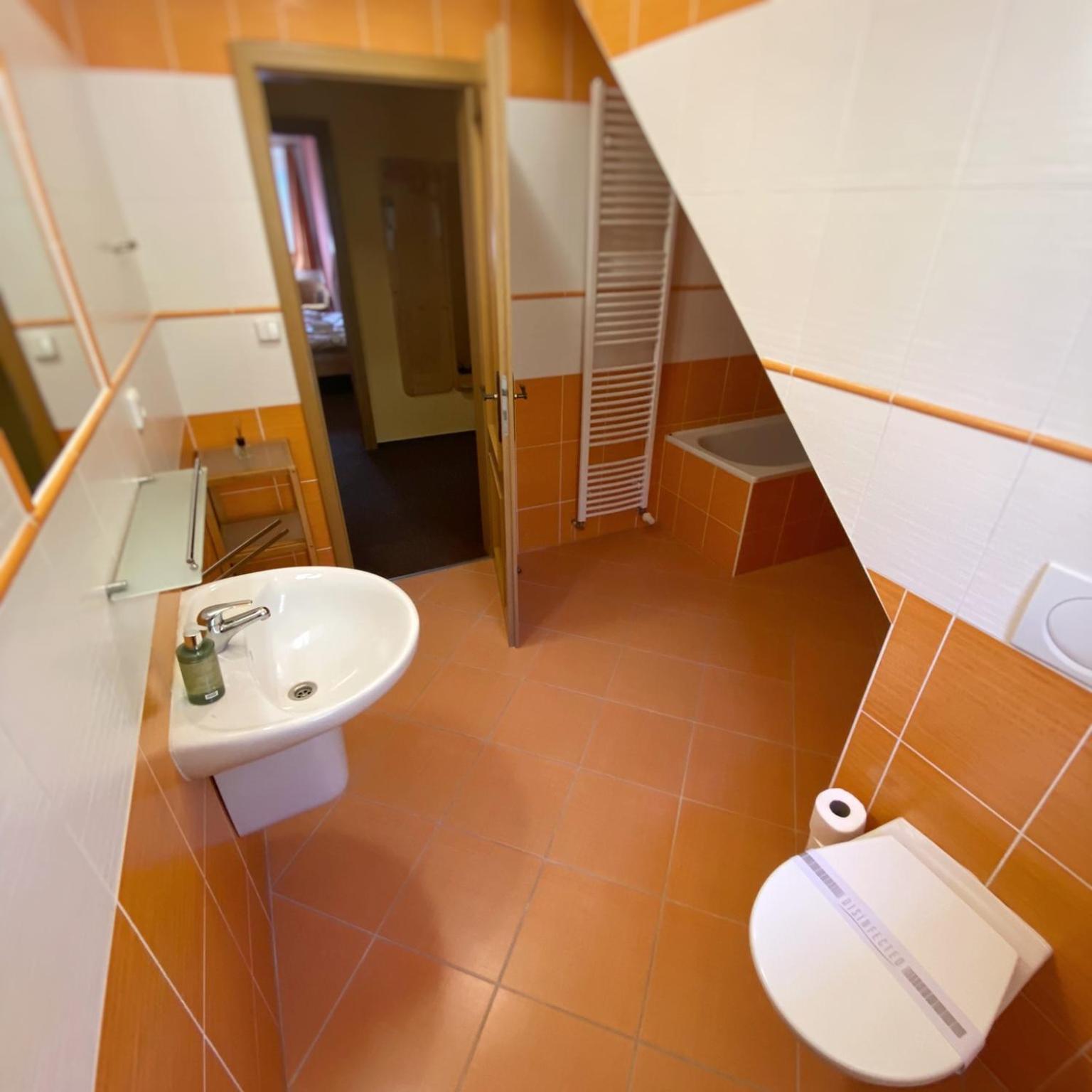 Horsky Hotel Snezenka Hyncice pod Susinou Exterior foto