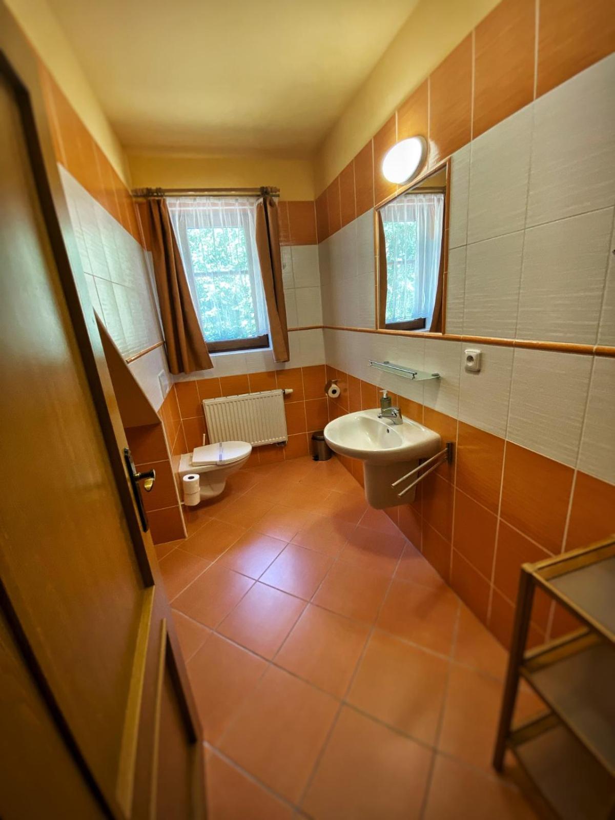 Horsky Hotel Snezenka Hyncice pod Susinou Exterior foto